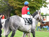 P1000355_thumb.jpg