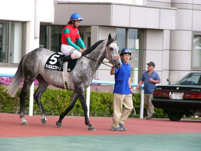 P1000356.jpg