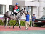 P1000356_thumb.jpg