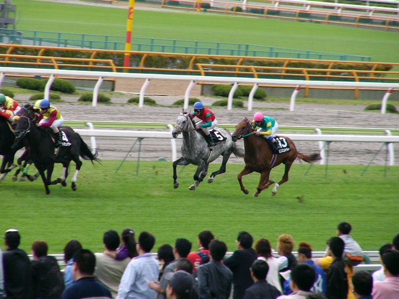 P1000364.jpg