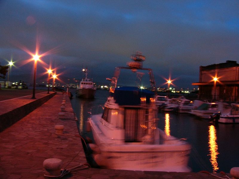 P1000376.jpg