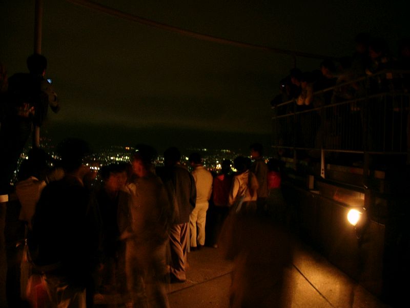 P1000393.jpg