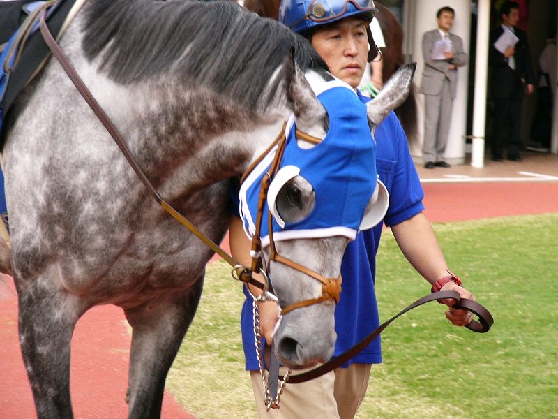 P1000489.JPG