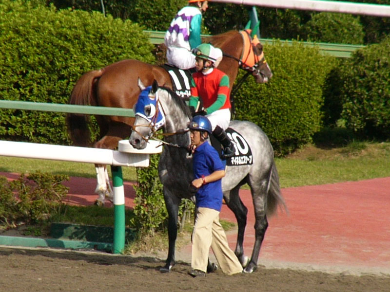 P1000492.JPG