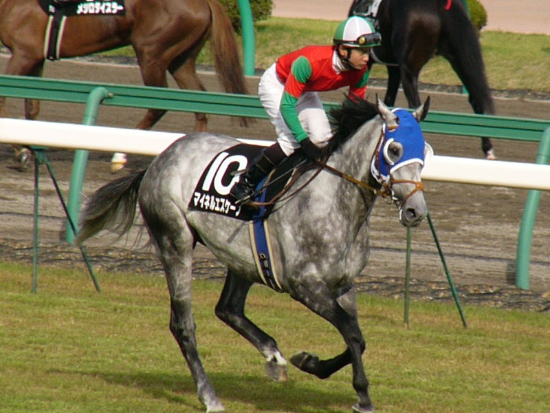 P1000495.JPG