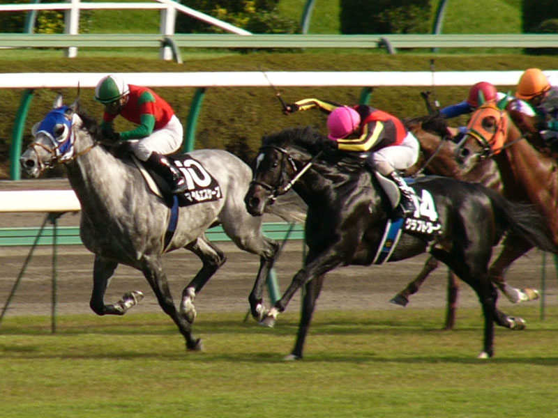 P1000508.JPG