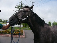 P1000185_thumb.jpg