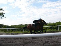 P1000198_thumb.jpg