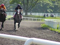 P1000211_thumb.jpg