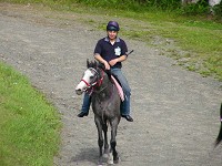 P1000214_thumb.jpg