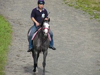 P1000215_thumb.jpg