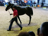 P1000251_thumb.jpg