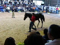 P1000253_thumb.jpg