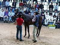 P1000260_thumb.jpg