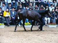 P1000264_thumb.jpg