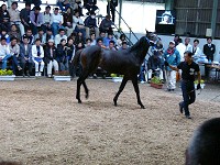 P1000277_thumb.jpg