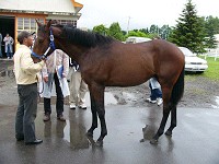 P1000291_thumb.jpg